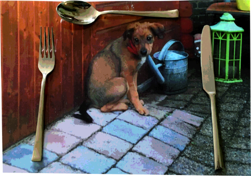 Placemat Bedrukken